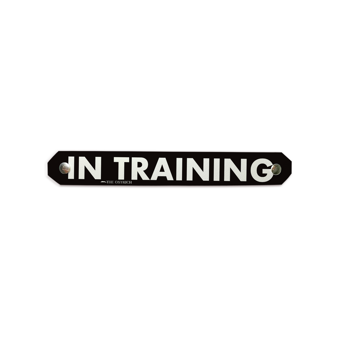 In Training (WOB) - Snappy Top