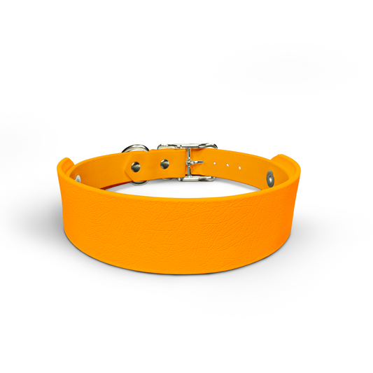 Tangerine - Snappy Collar & Top Set