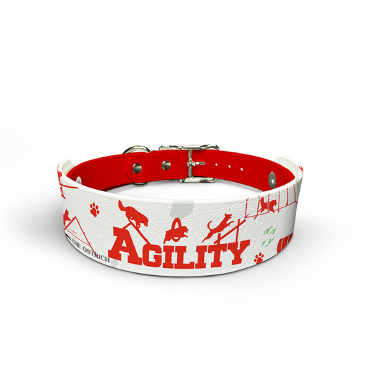 Agility Course - WHITE - Snappy Collar & Top Set