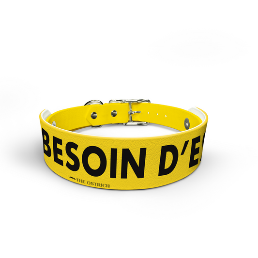 Sesoin D'Space (Bloy) - Collier Snappy et ensemble de haut