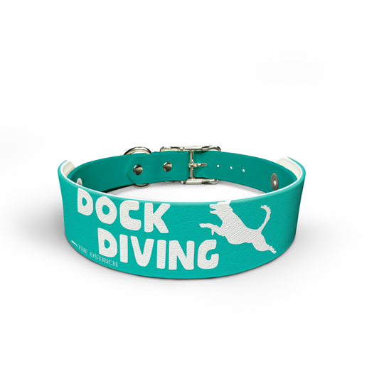 Dock Diving -TEAL - Snappy Collar & Top Set