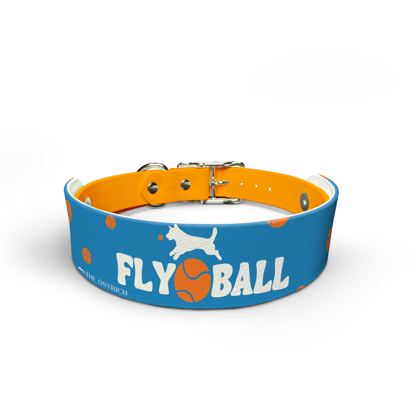 Flyball - BLUE - Snappy Collar & Top Set