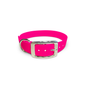 Fuchsia - Classic Collar