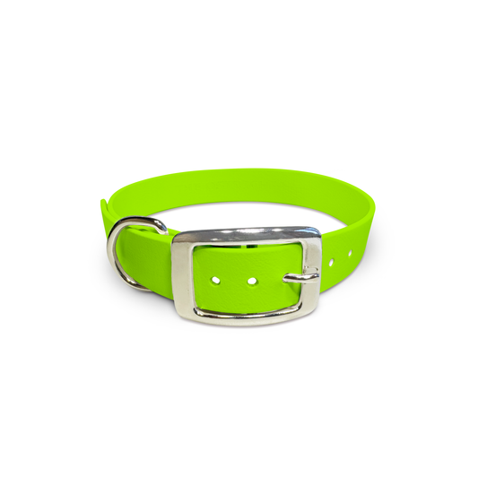 Lime - Classic Collar