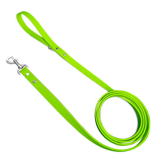 Lime - Classic Leash