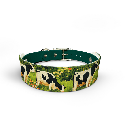 Pasture Pals - Snappy Collar & Top Set