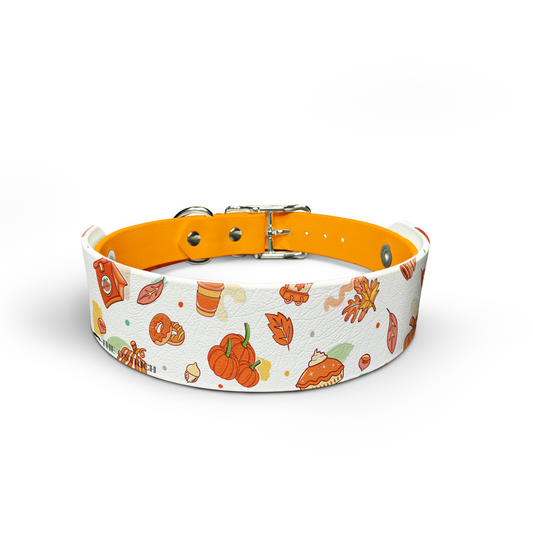 Pumpkin Spice - Snappy Collar & Top Set