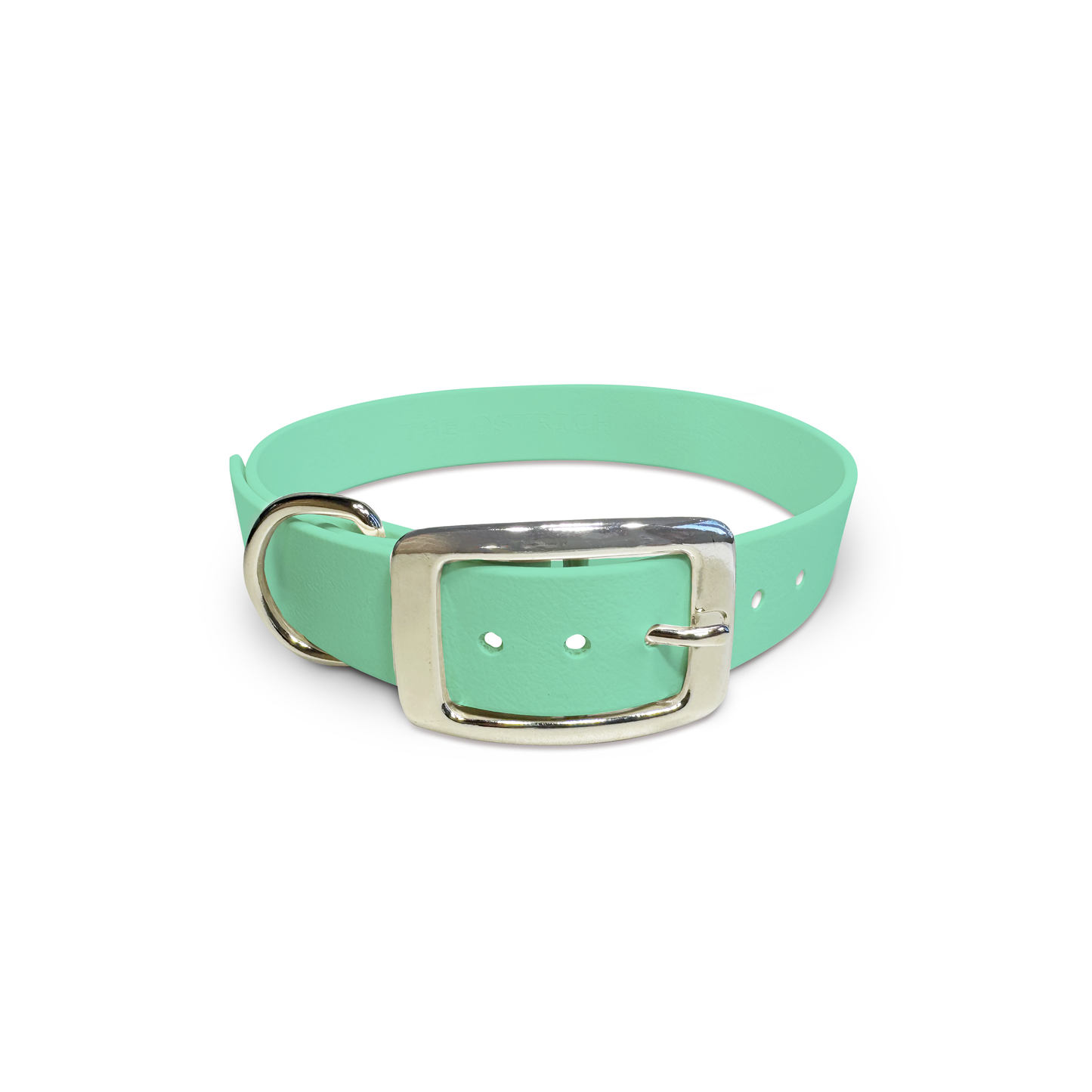 Seafoam - Classic Collar