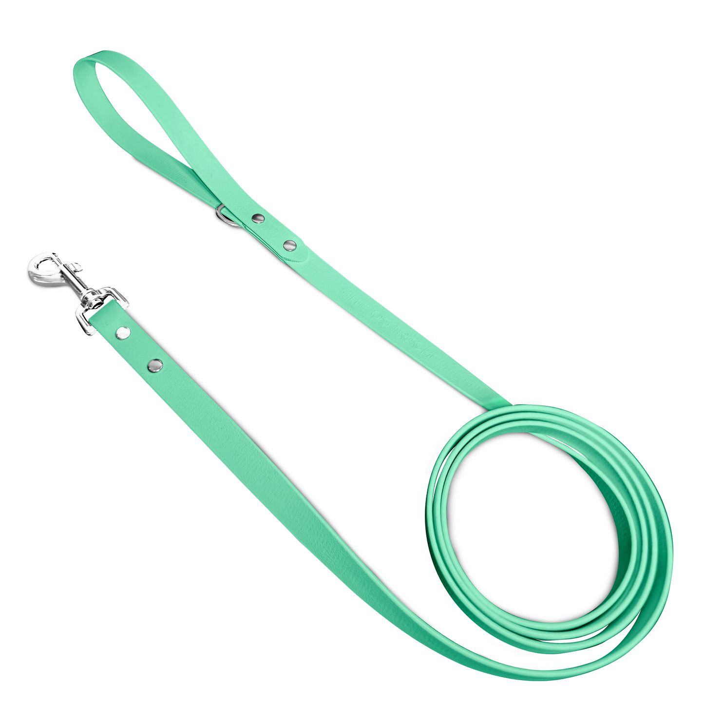 Seafoam - Classic Leash