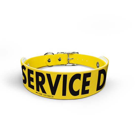 Dog de service (Bloy) - collier et haut collier