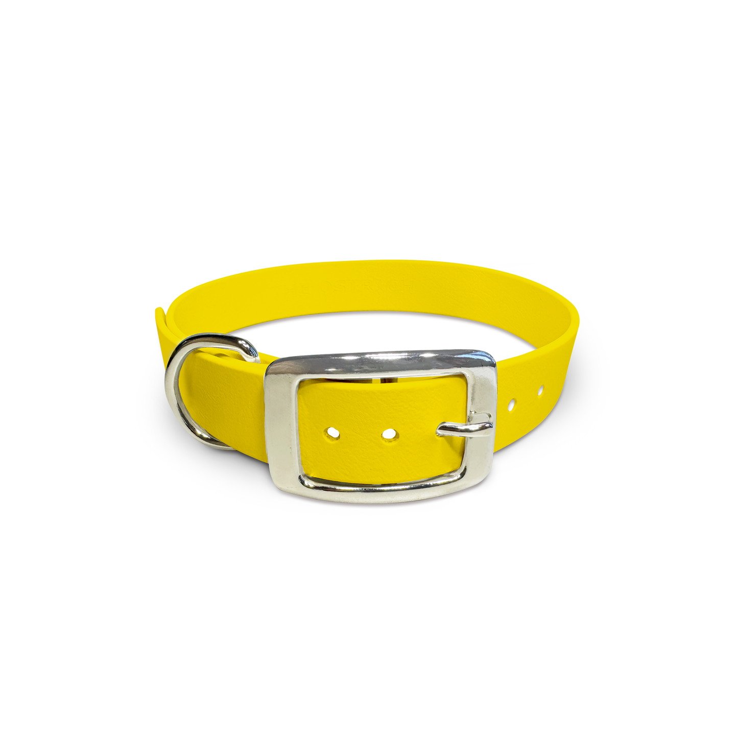 Sunflower - Classic Collar