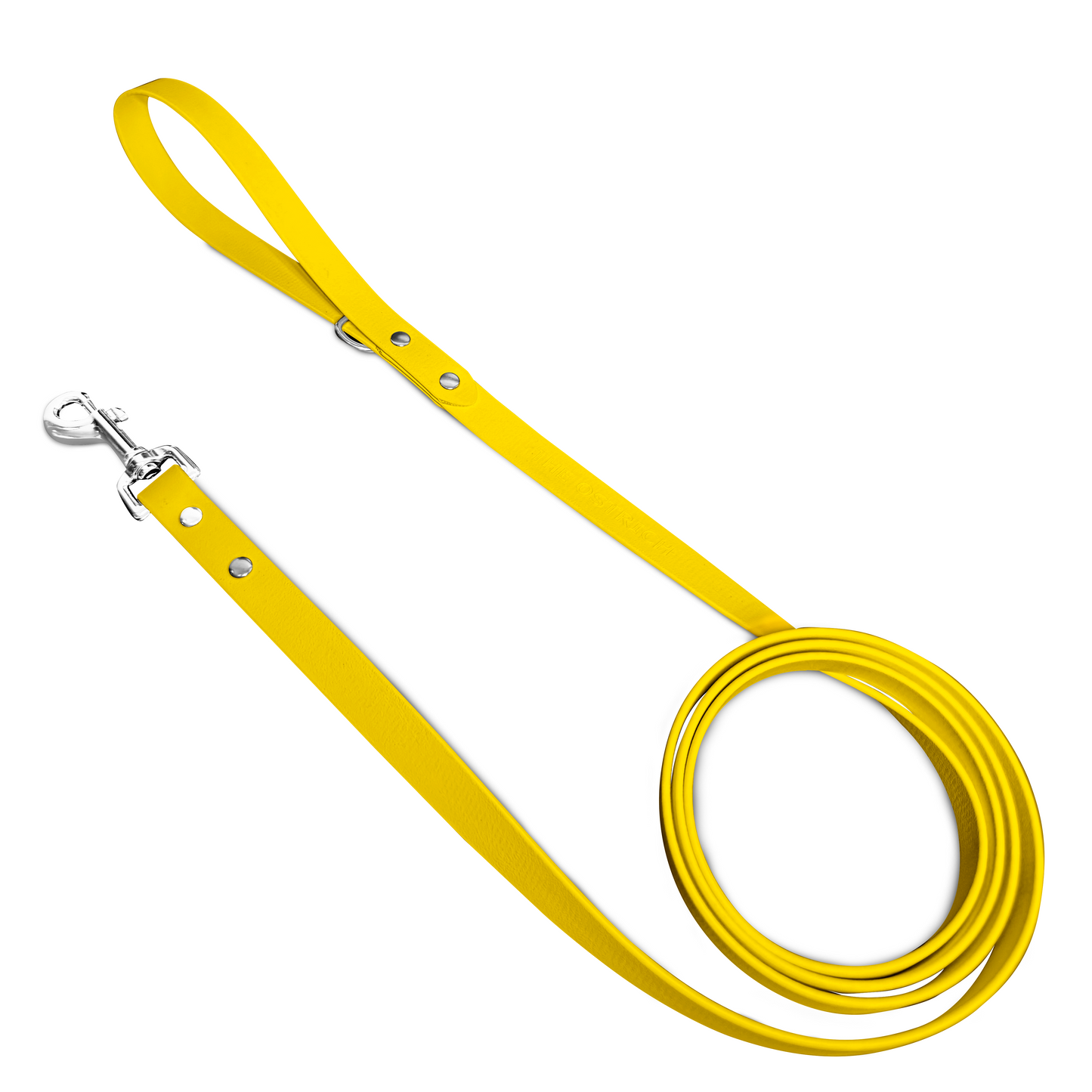 Sunflower - Classic Leash