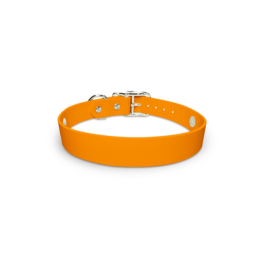 Tangerine - Snappy Collar