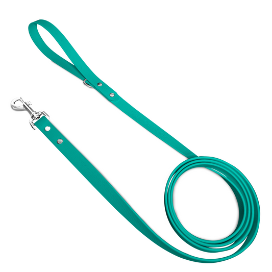 Turquoise - Classic Leash